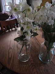 Variety of white Silk Flowers