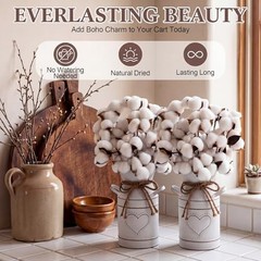2 Pack 7.5″ High Decorative Vase with 10 Pcs Cotton Stems, Cotton Flowers in