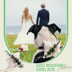5» x 5» Dog Ring Bearer Wedding Pillows with Ring Clasp Off for Dog Collar …