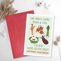 Funny Gardener Birthday Card for Woman Man, Humorous Birthday Card for Family…