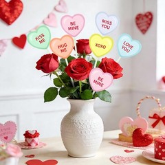 12 Pcs Valentine’s Day Decorative Picks Double-Sided Conversation Heart Plant