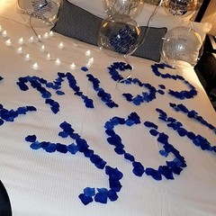 1000 Pcs Sapphire Blue Artificial Silk Rose Petals for Weddings & Parties