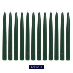 Colonial Candle Unscented Taper Candle Handipt Collection Evergreen 6 In Pack