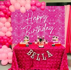 Hot Pink Shimmer Wall Backdrop for Girls Birthday 7x5FT Glitter Sequins Party…
