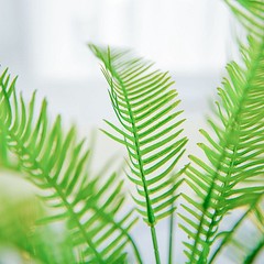 2 GREEN 19″ Faux Fern ARTIFICIAL LEAVES Greenery Stems Party Decorations