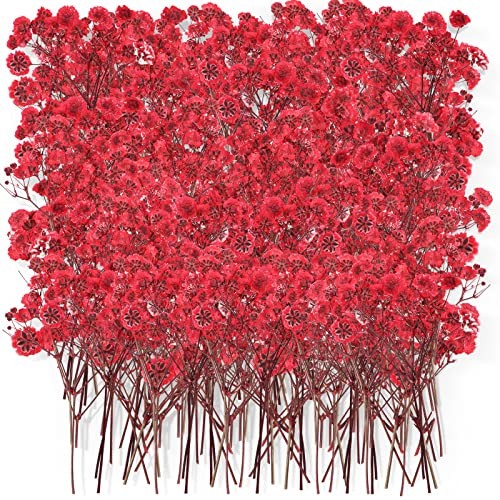 Pcs Dried Baby Breath Flowers, Red Mini Natural Gypsophila Dried Pressed 50
