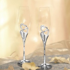 Sziqiqi Wedding Champagne Glass 2 Count (Pack of 1), Silver with Regular Box