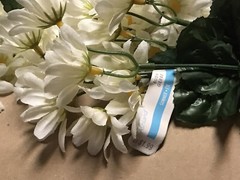 Cream Daisy Bunches Michael’s Craft Store/120 count/15 Daisies per Bunch