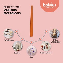 BOLSIUS Orange Taper Candles – 4 Pack Unscented 10 Inch Dinner Candle