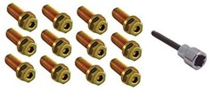 Performance 46723 7/8″ Header Bolt