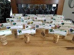 Whimsy Flower Shabby Chic Place Cards & Wine Cork Holders different Vineyards