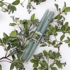 Colonial Candle 10 Inch Bayberry Scented Taper Candle, 10 In,