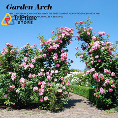 Garden Arch Trellis for Climbing Plants Outdoor – 4.6 * Without base, Black