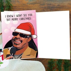OJsensai Humorous Stevie Wonder Christmas Card For Women Men, Naughty Musicia…