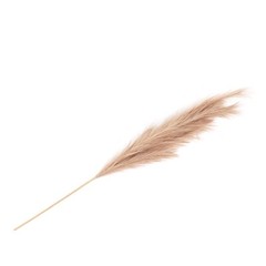 3 TAUPE 44″ ARTIFICIAL Pampas Grass SPRAYS Faux Plant STEMS Party Decorations