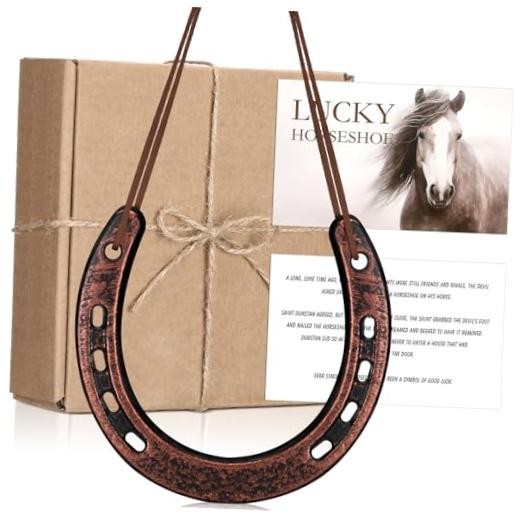 VioraWhite Good Lucky Horseshoe Decor Gift Sets with Card Rope New Home