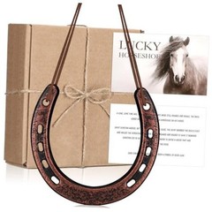 VioraWhite Good Lucky Horseshoe Decor Gift Sets with Card Rope New Home