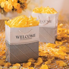 Nautical Welcome to Our Wedding Gift Bags, 7″ x 9″ w/ Tag, Reception, Hotel Gift