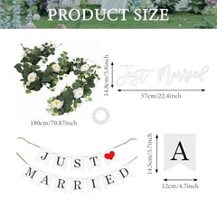 Just Married Car Decorations Kit for Wedding | Honeymoon Send Off Decor with