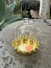 12pcs Fillable Clear Favor Boxes With Dome Lids Golden Crown Base Plastic Dome