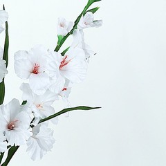 3 WHITE 36″ SILK GLADIOLUS ARTIFICIAL FLOWER Spray Stems Wedding Decorations