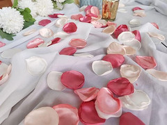 Pink Rose Petals,Blush Pink Flower Silk Petals,Scatter Petals for Wedding Aisle