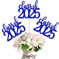 ALISSAR 12 Pack Pre-assembled Double Sided Class of 2025 Graduation Blue