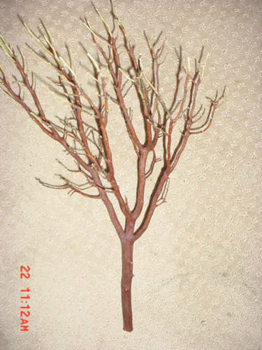 6 Fresh-Cut RED Manzanita Branches for Vertical Centerpieces *SIX!* 16″-20″