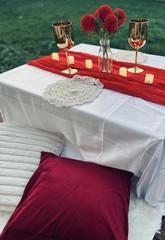 Bright Red Cheesecloth Table Runner 10FT Gauze 35×120 Inches,