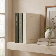 Beautiful Photo Album Set of 3 For 4×6 6.46 x 4.72 x 1.2 inches, Sage