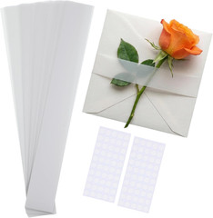 100 Pcs Wedding Invitation Accessories Vellum Belly Band for 5 x 7 Invitations,