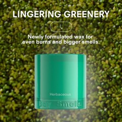 Boy Smells – 8.5 Oz – Fresh Sage And Wild – Up To