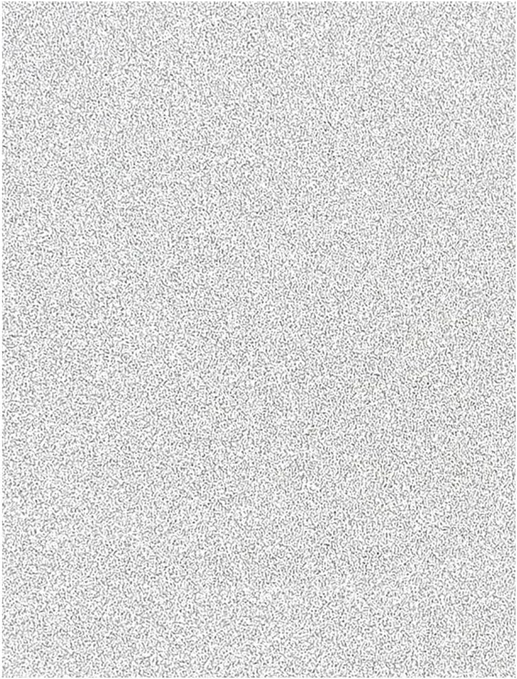 Baisunt 20 Sheets Silver Glitter Cardstock Paper for DIY 8×12 Inches,