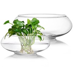 2 Pack Glass Vase Bowl, 6″/ 8″ Wide Mouth Flower Vase Round Terrarium, Glass
