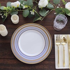 10 WHITE 9″ Round Plastic Salad PLATES NAVY BLUE Chord Rim Party Decorations