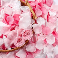 180 PCS Real Pink White Rose Flower Petals Confetti Wedding to Throw 1.75oz