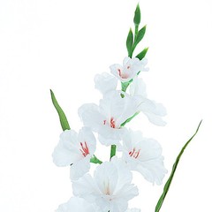 3 pcs 36″ SILK ARTIFICIAL GLADIOLUS FLOWER Spray Stems Wedding Party Supplies