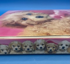 Vintage Class Act Maltipoo Puppy Dog 3 Ring Binder Keith Kimberlin 2 pockets