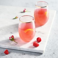 30 Pack Stemless Plastic Wine Glasses – 16 Oz – BPA Free Disposable Wine