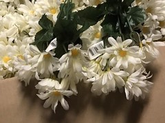 Cream Daisy Bunches Michael’s Craft Store/120 count/15 Daisies per Bunch