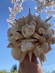 Natural Seashell Wedding Bouquet, Forever Keepsake, Beautiful One Of A Kind