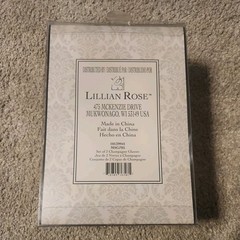 Lillian Rose Bride Groom Wedding Champagne Toasting Glasses Package 9.3 Oz