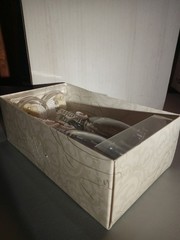 Lillian Rose Glass Designer champagne toasting flutes seashell starfish knots