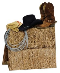 Beistle 3-D Western Centerpiece, 9.5″ Tall 1 Count (Pack of 1), Multicolored