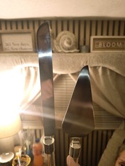 2pc Stainless Steel Cake Knife & Server Set, Clear Plastic Handles, Silver