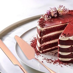 Wedding Cake Knife and Server Set Pink Cake Cutting Set 10.6/9 Inch