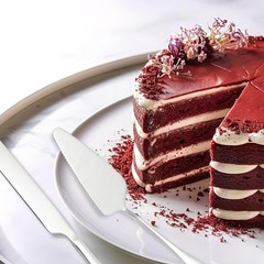 Wedding Cake Knife and Server Set Silver Cake Cutting Set (10.6/9 Inch)