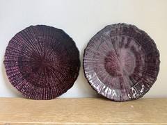 Set Of 8 Purple Reef Charger Plates 9” Round – Wedding & Event