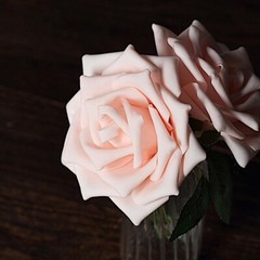 24 pcs 5″ Foam Rose Flowers Stems Wedding Party DIY Events Decorations Supplies