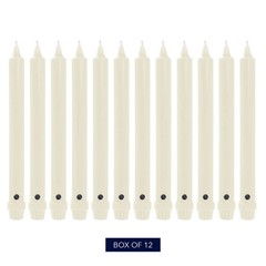 Colonial Candle Unscented Taper Candle Classic Collection Ivory 8 In Pack Of 12